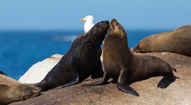 妻子的浪漫旅行第二季取景点,妻子的浪漫旅行2去了哪些地方