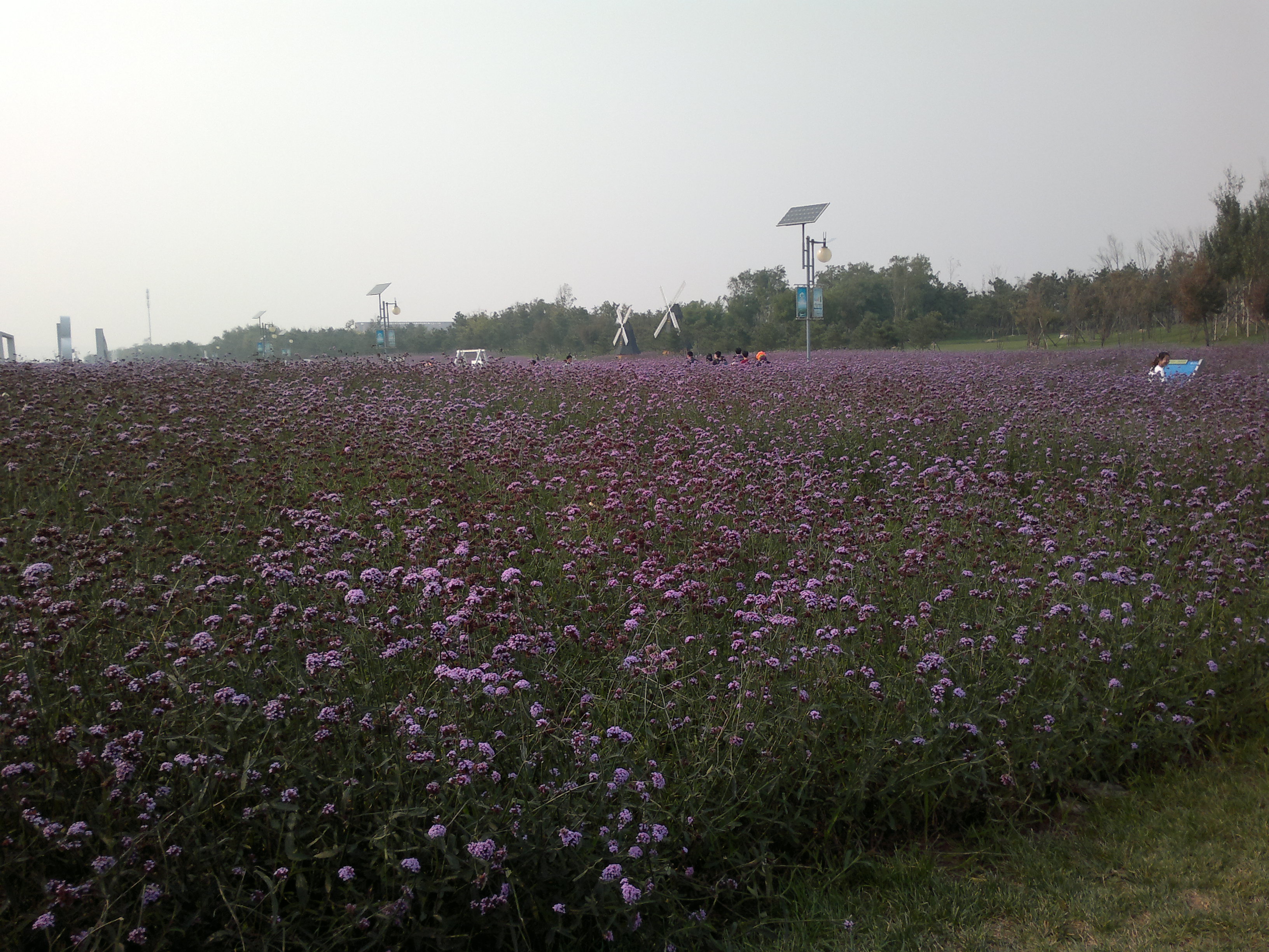 锦州世博园最好的地方,锦州世博园最佳游玩时间