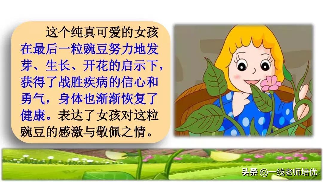 四年级上册豆荚里的五粒豆笔记,一个豆荚里的五粒豆四年级课文