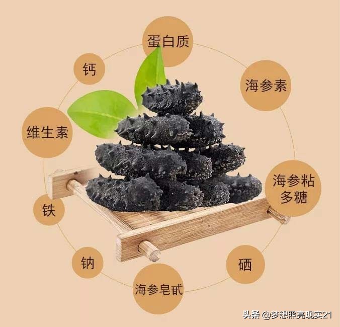 海参内幕深度揭秘99%的人不知道,关于海参的内幕