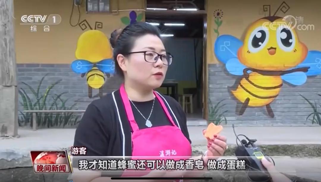 融创中益乡项目 (融创乡村振兴计划)