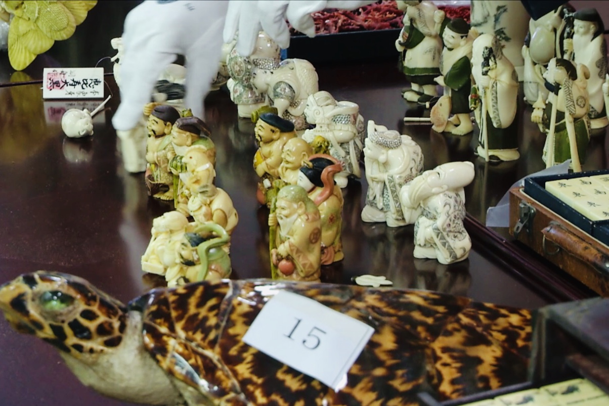 另类玩具竟是象牙制品斩断互联网上的象牙*私走**黑色链条