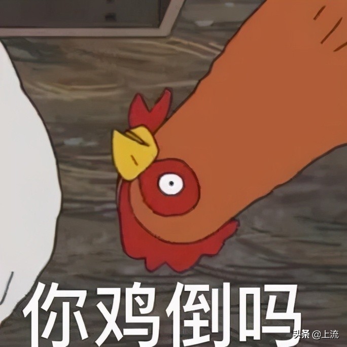 这个辣鸡,才是浙江人心里yyds