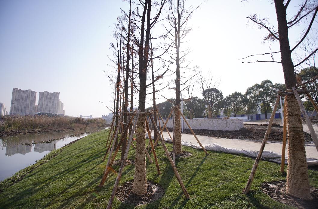 活力岛还会涨吗,活力岛活力环