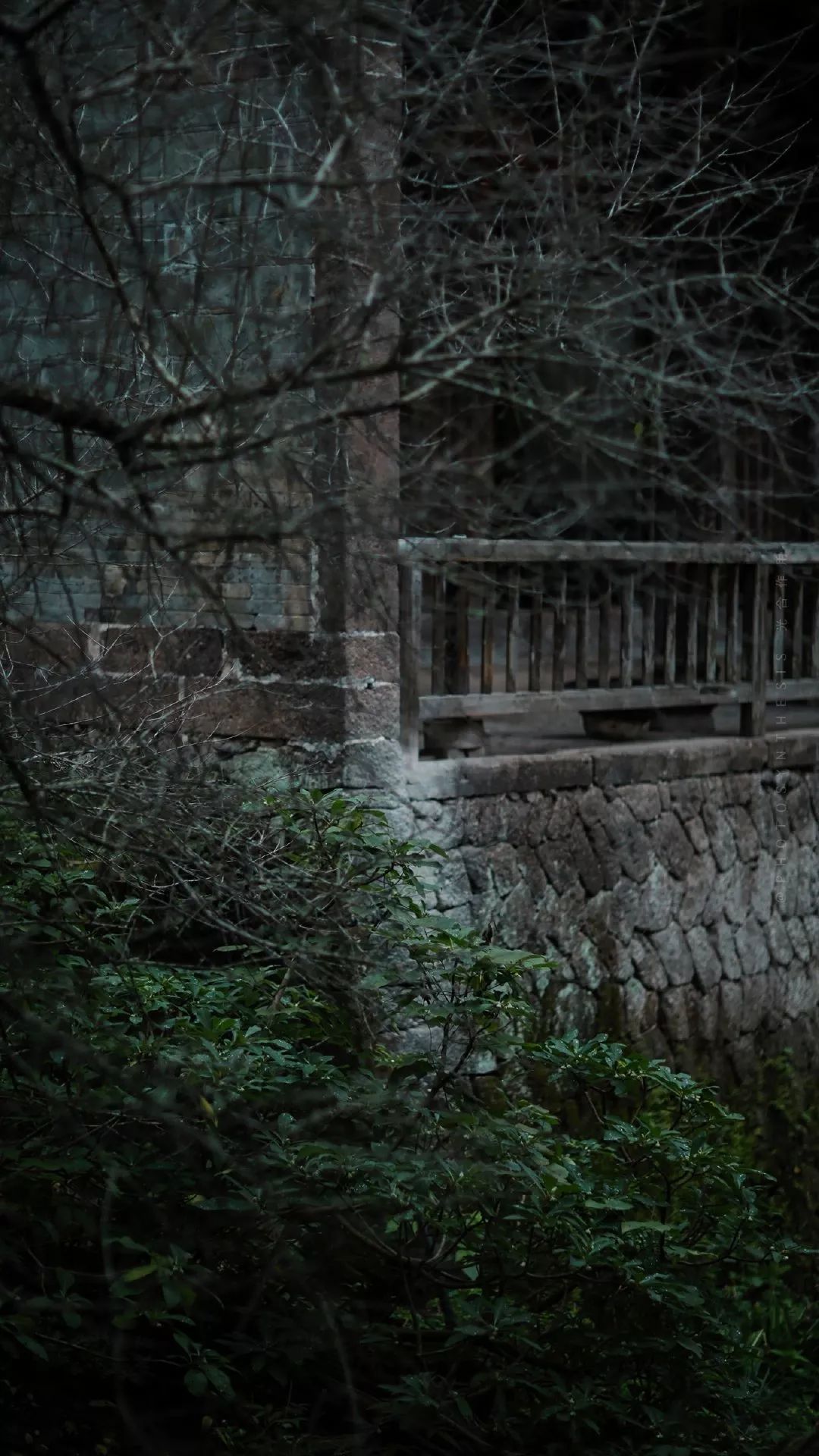 古代文人理想的诗句,古代文人雅士生活四艺