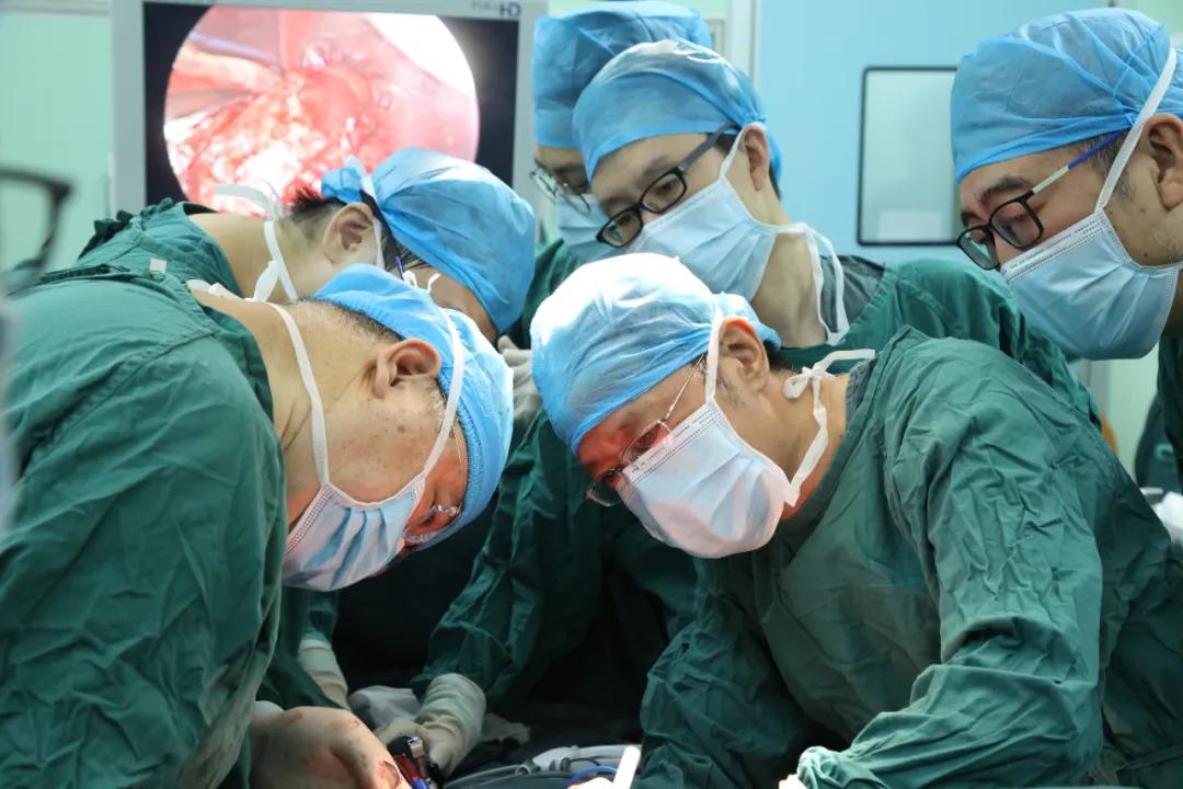 肺移植现状与进展,湖北首例新冠肺移植者出院