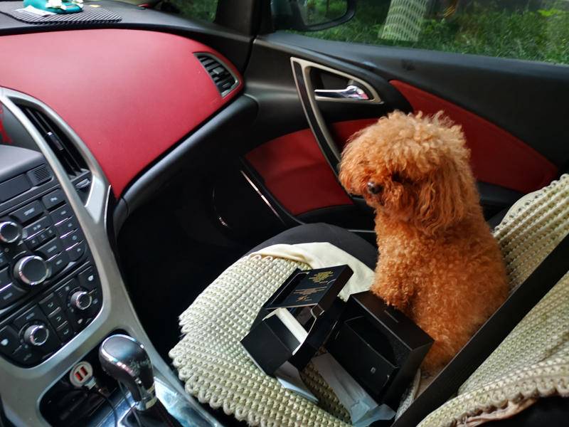 盯盯拍行车记录仪mini54k测评,行车记录仪推荐盯盯拍mini5