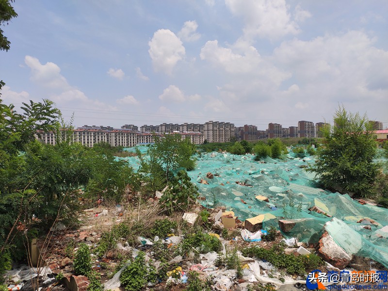 为2023亚洲杯建造的足球场,亚洲杯青岛青春足球场