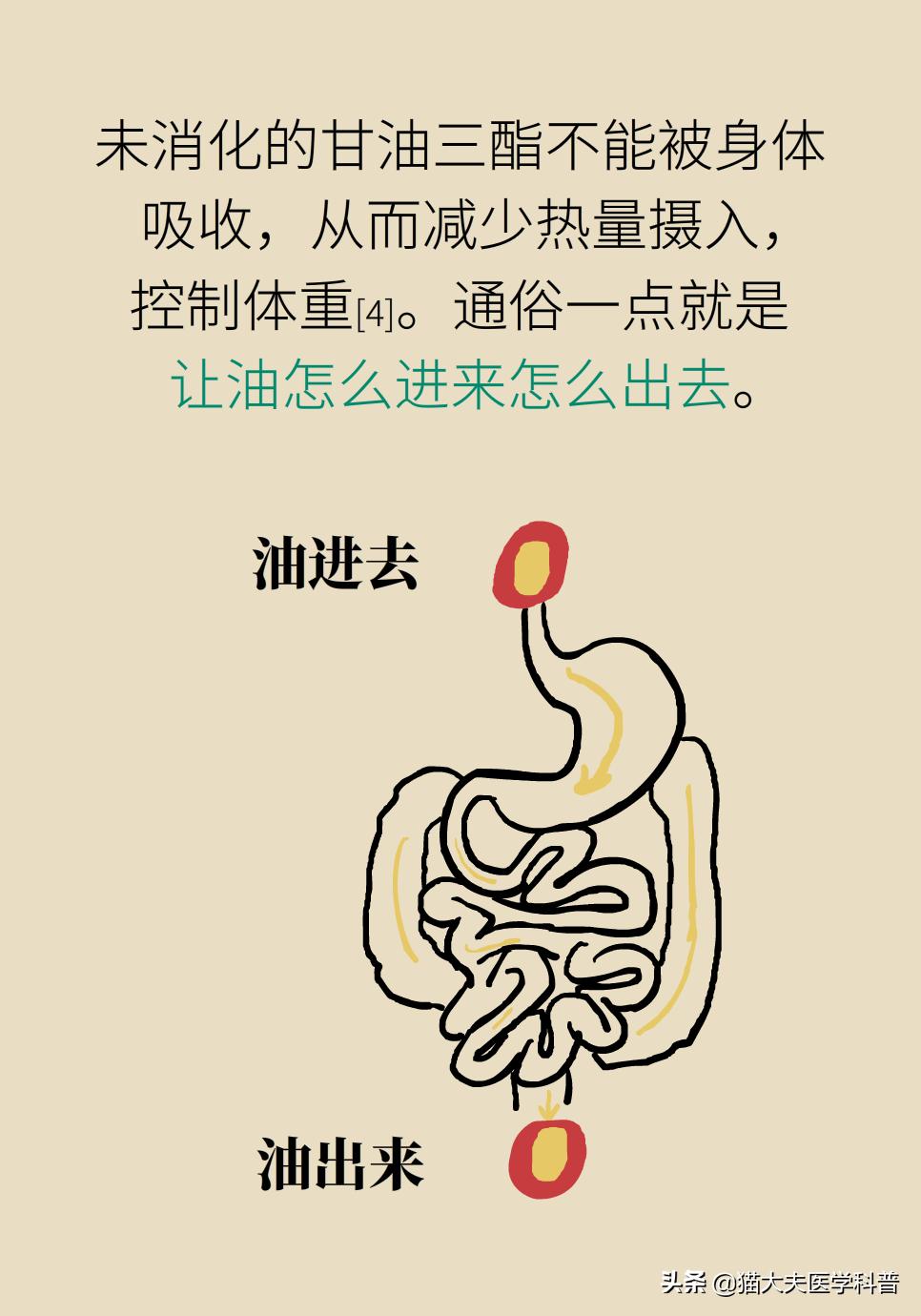 国家批准的减重药,国家唯一批准减肥的药