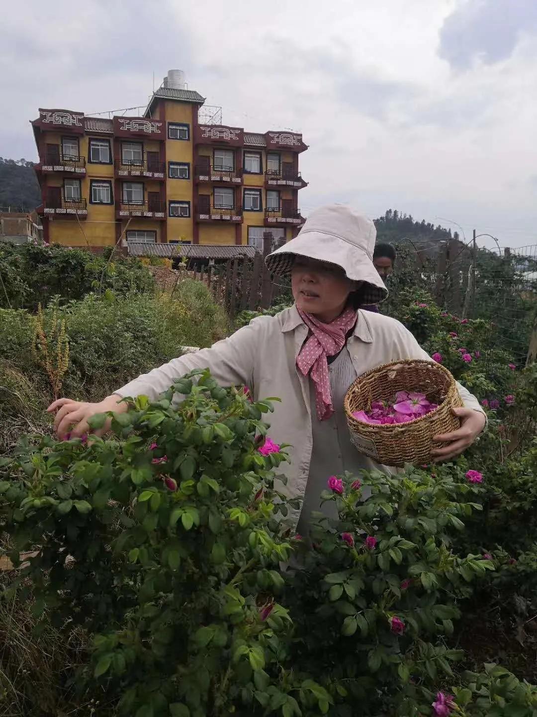 厌学沉迷手机游戏的家庭指导方案,高二孩子沉迷手机游戏厌学怎么办