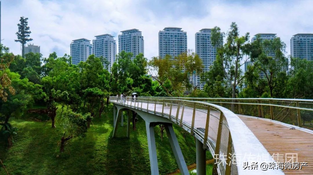 重磅！广州地铁将直通港珠澳大桥！限购放开！规划、旧村改造来了