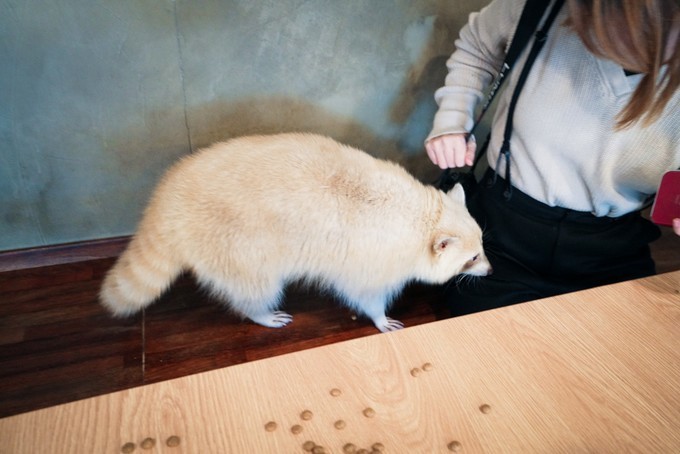 去韩国必买清单,韩国购物攻略衣服