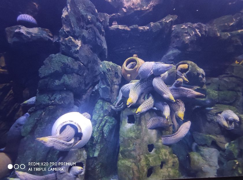 珠海长隆海洋公园在哪个区,珠海长隆海洋公园酒店