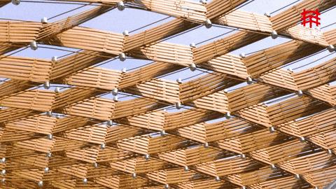 三维编织，第十届中国花卉博览会竹藤馆