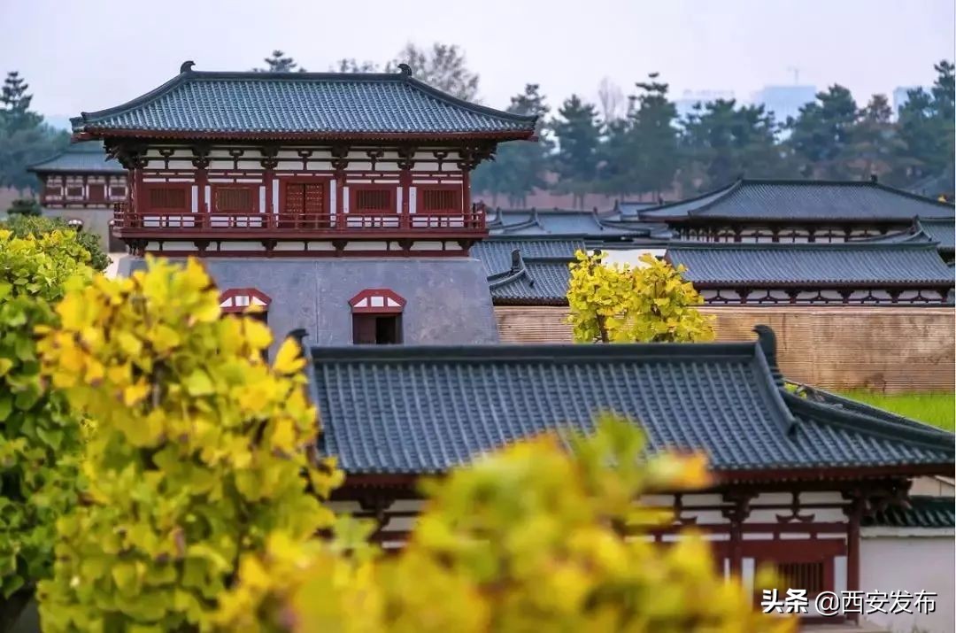 西安赏秋,西安赏秋红叶好去处