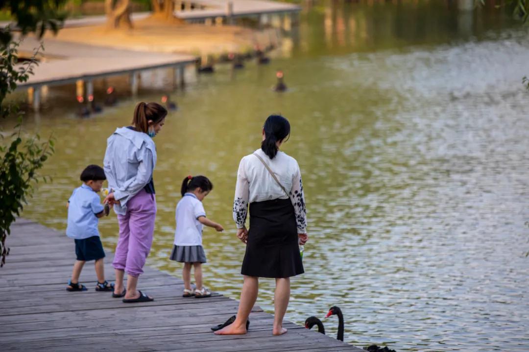 台儿庄适合1-2天短途旅游,趁着假期的闲暇去旅行