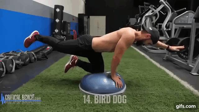 平衡半球体适能训练,波速球稳定性练习