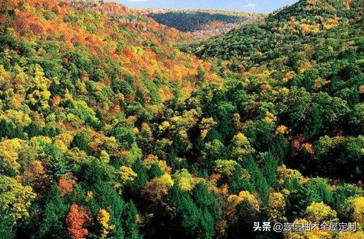 全屋定制橡木和橡胶木的区别,美国红橡木全屋定制效果图