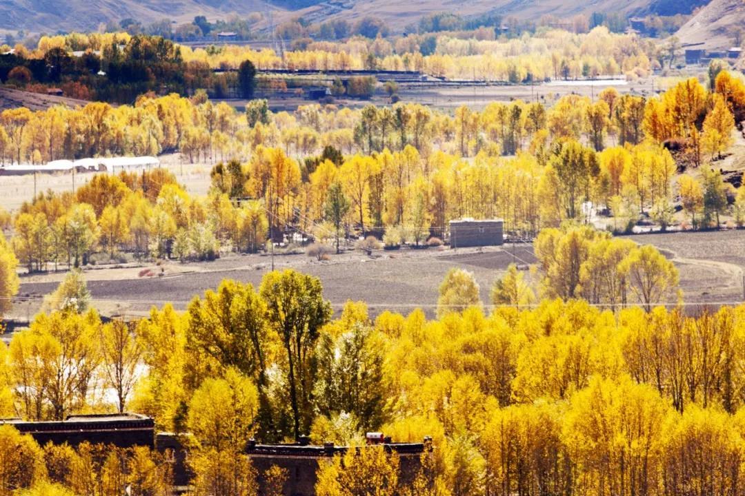 国庆旅游稻城亚丁自驾游最佳路线,国庆川西稻城亚丁风景区一日游