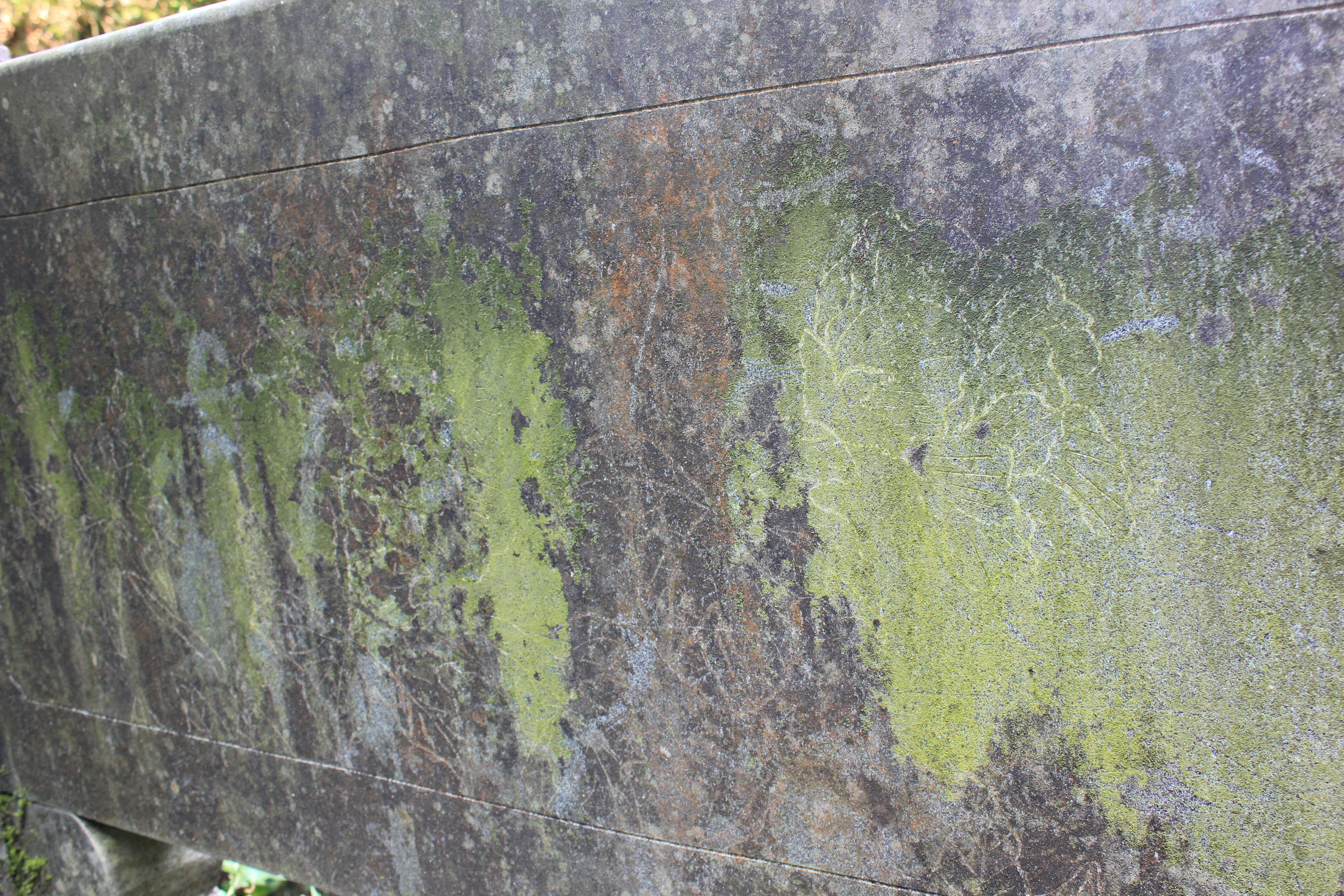 武汉周边避暑胜地｜端午武汉至咸宁九宫山2日自驾亲子游路线分享