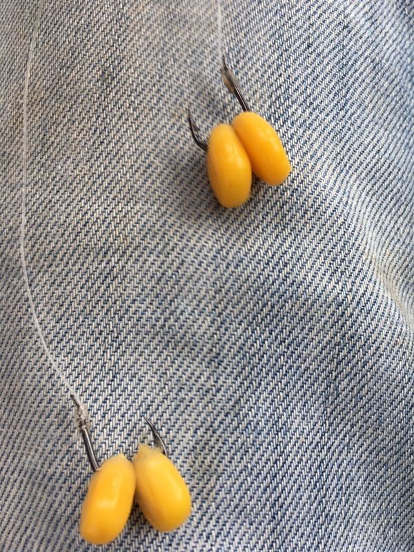 小鱼闹窝钓法,小鱼闹窝一招搞定