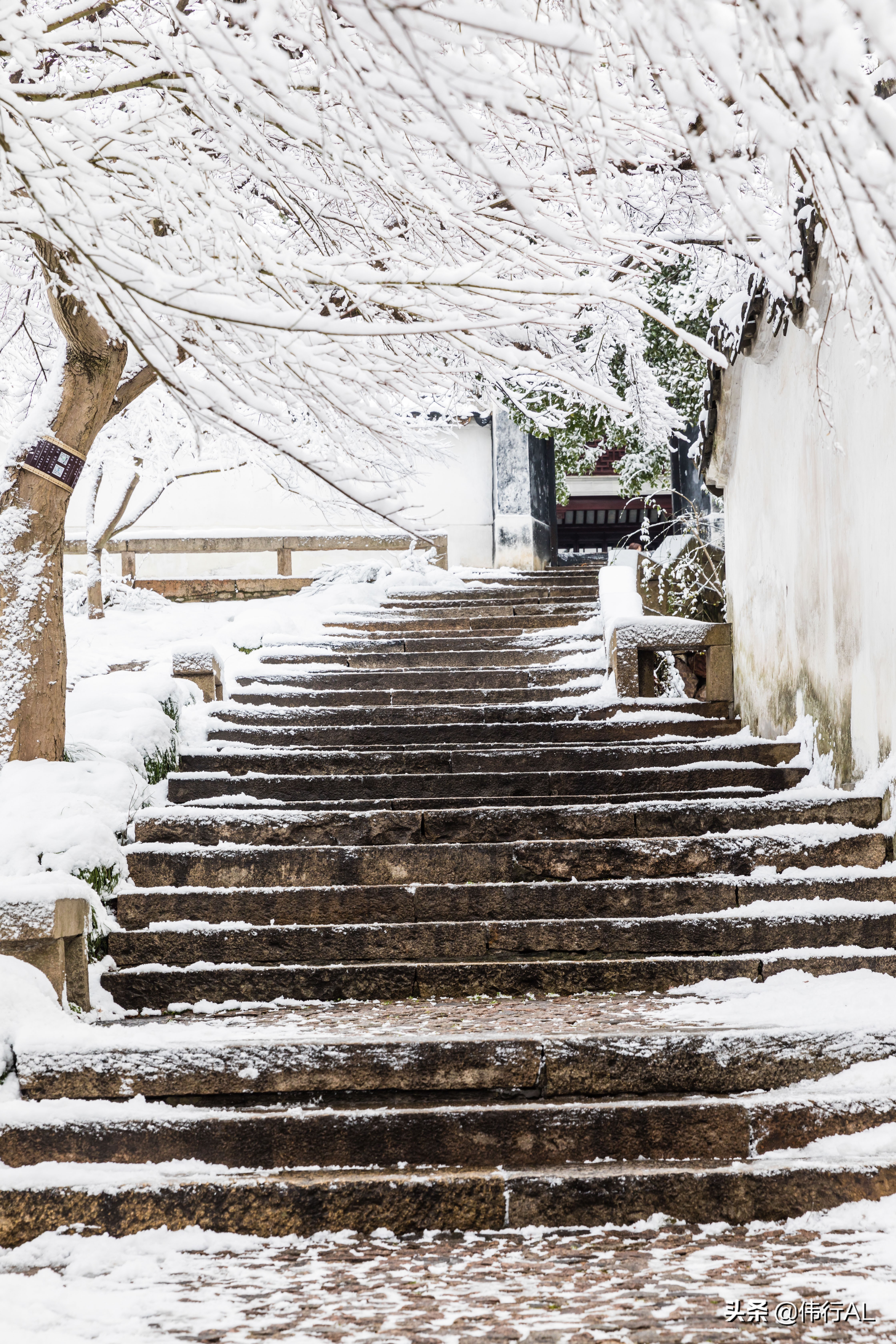 虎丘的十八景,吴中第一名胜虎丘纪念章