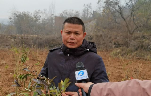 河南老中医尚飞都市报道,祖传老中医尚飞