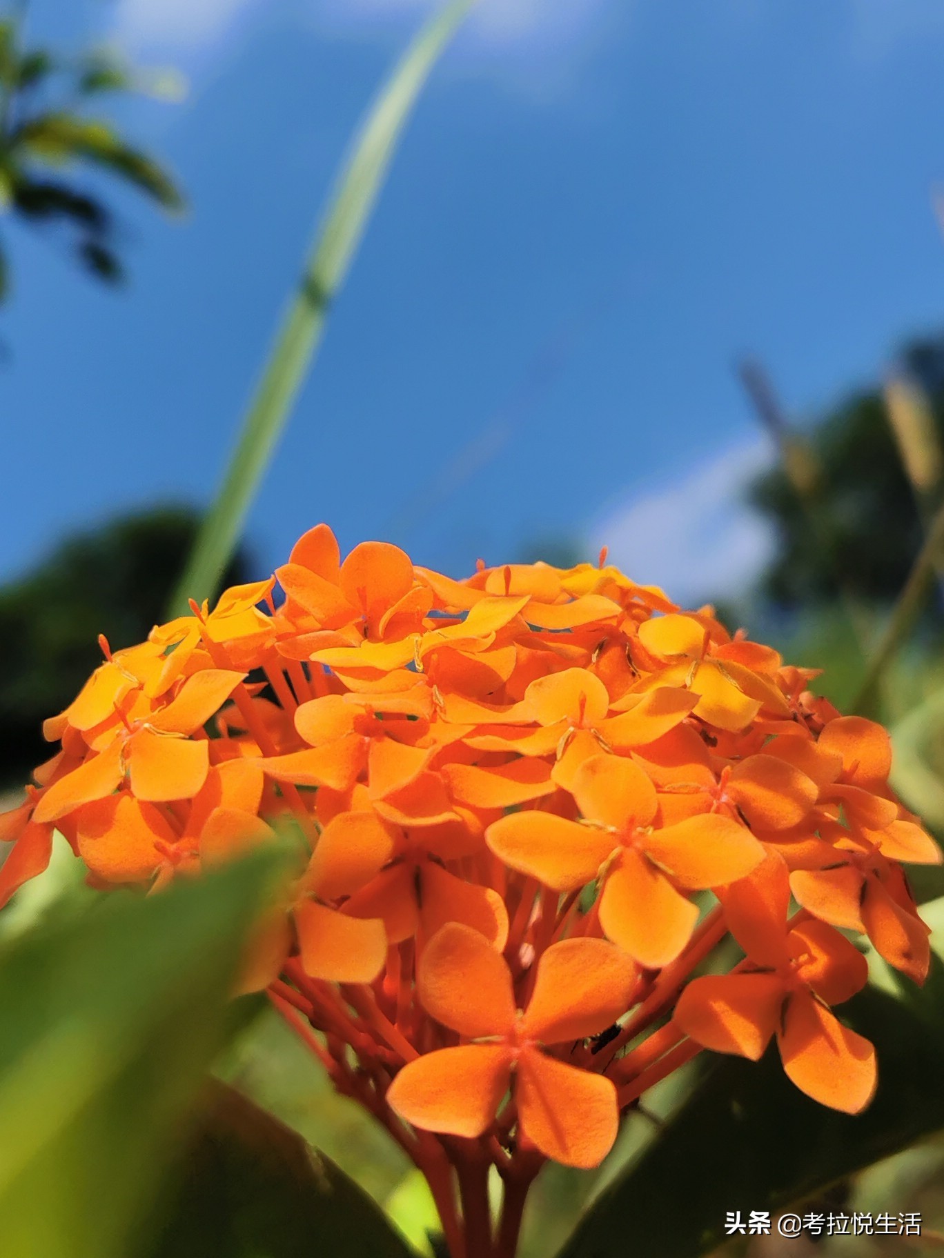 2018惠州中秋攻略,国庆惠州记录