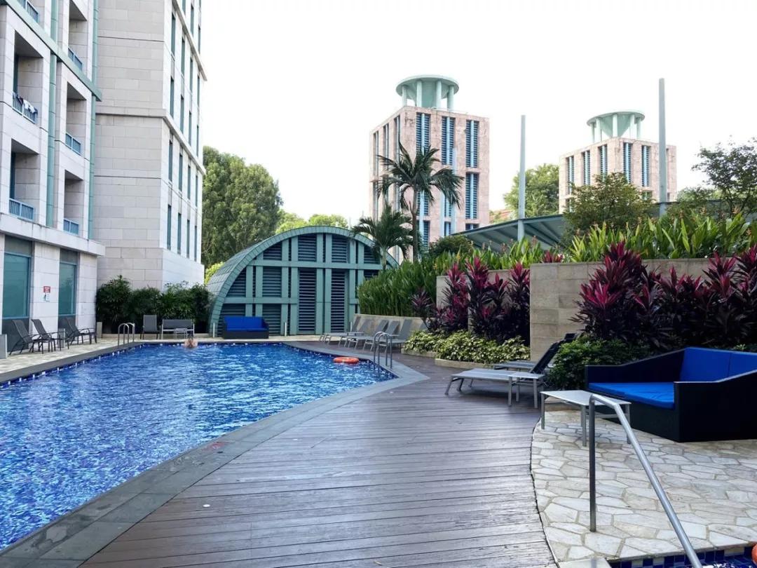 疫情期间去埃及旅游的亲历,疫情期间从深圳直飞洛杉矶体验