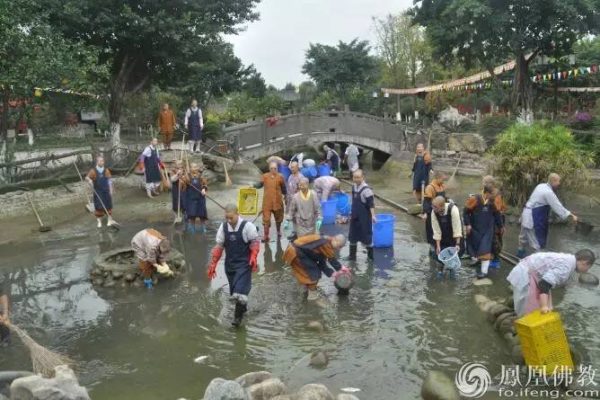女出家有什么坏处,女性出家有什么条件