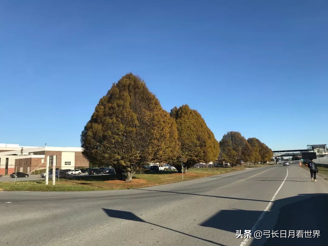 加拿大多伦多皮尔逊机场转机,加拿大转机去哥斯达黎加