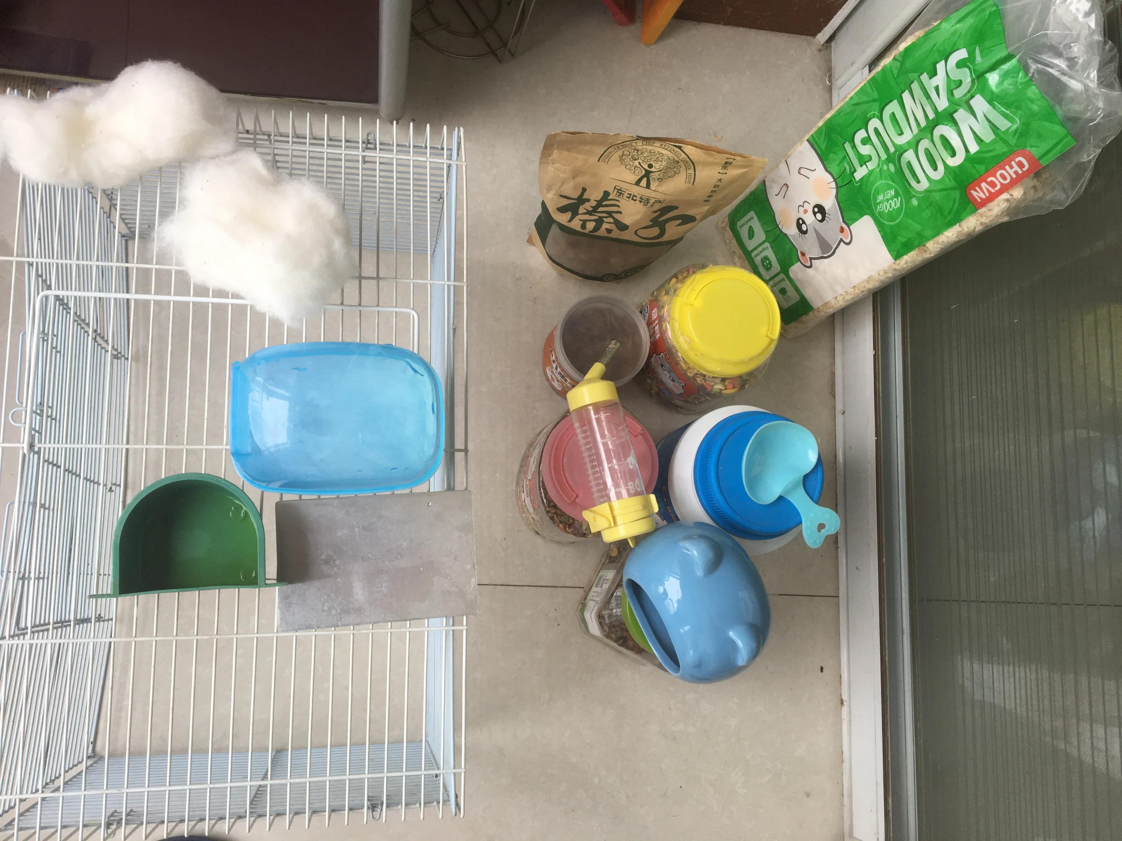 仓鼠幼崽成长记录,仓鼠记录