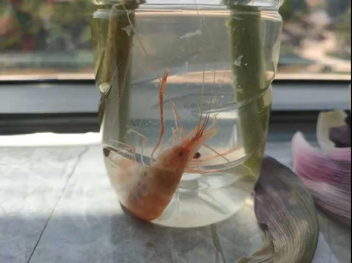 这是什么情况啊搞笑图片,这种情况持续多久了搞笑图片