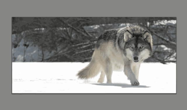 jpg图片批量裁切,如何快速批量裁切图片