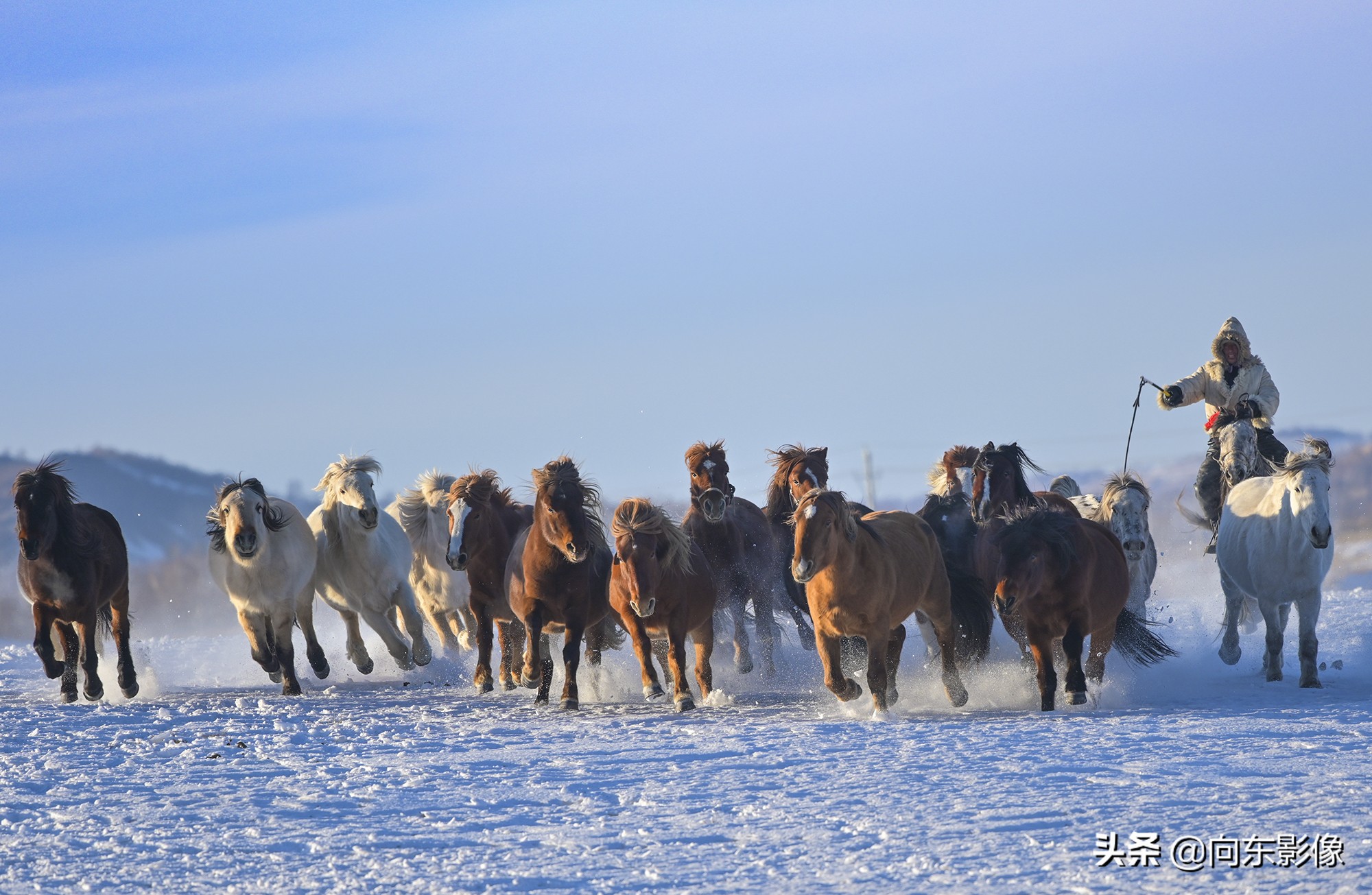 尼康z7一代高感,尼康z7ii4k60p是超采样吗