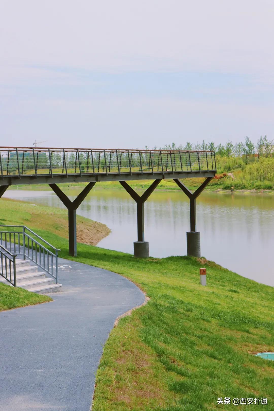 西安大草坪公园推荐,西安有大草坪的公园