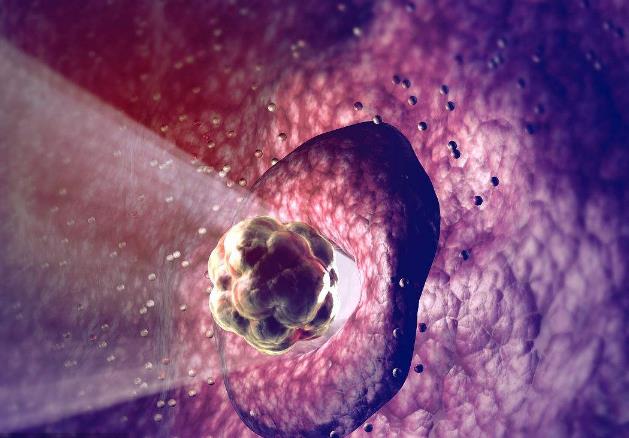 怎么找排卵日最精准,怎么找女人排卵日