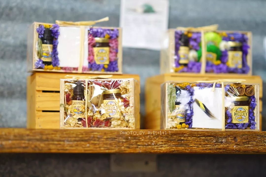 赴澳洲需要买的东西,去澳洲探亲要提供无犯罪记录吗