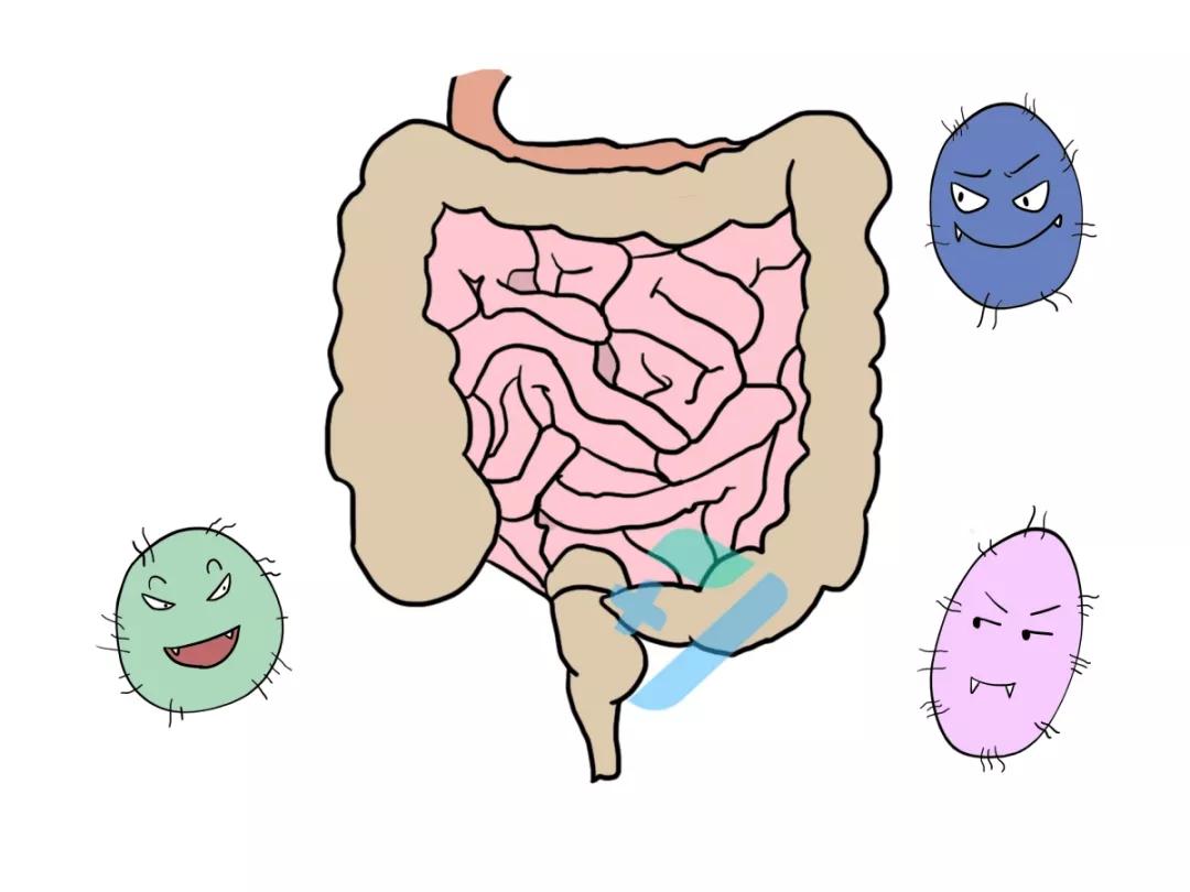 粪便进嘴里会得什么病,饮食传播和粪口传播有区别吗