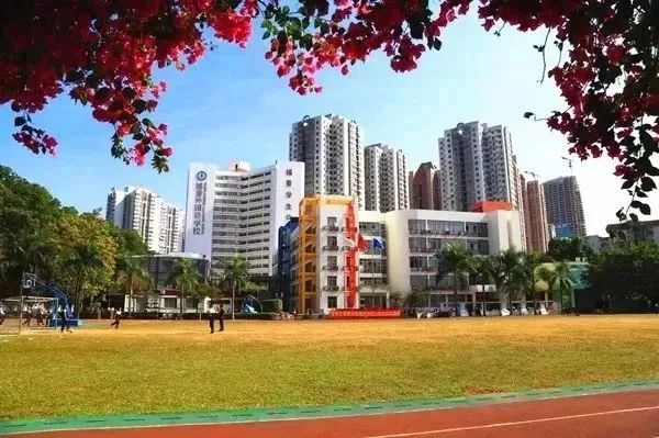 除了牛剑还有哪个学院,深国交深圳热门国际学校