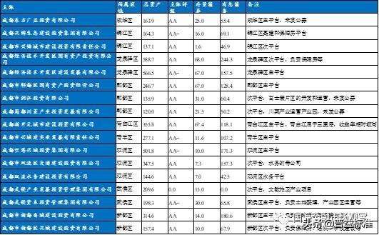 成都城投集团资产负债率,成都市政府地方城投债