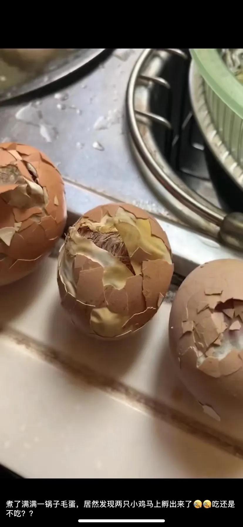 上海吃毛鸡蛋,吃毛蛋吃出活鸡