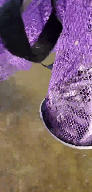 路亚钓白条十句口诀,路亚新手钓白条用什么饵最好