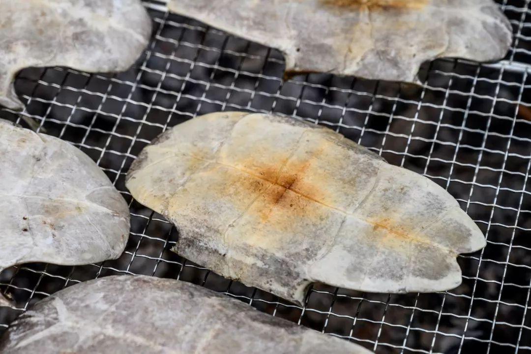 龟界百事通做的龟苓膏，煲前还要先玩火