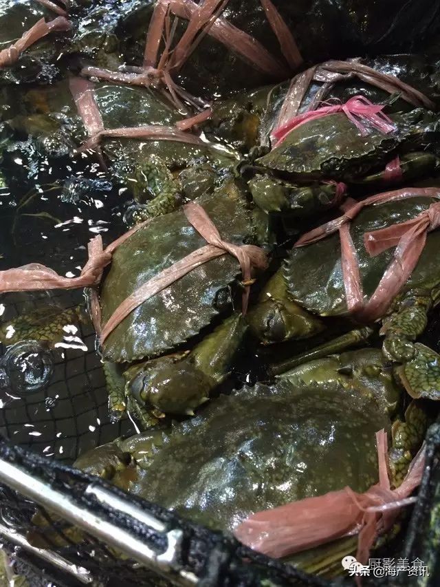 这些诱人的美食你吃过吗,世界上顶级海鲜大全你吃过几种