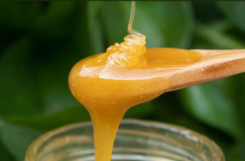 最土的是它，最甜的也是它｜董峰蜂蜜