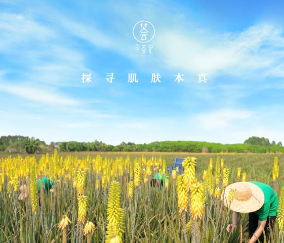 芦荟国货,芦荟护肤哪些值得信赖