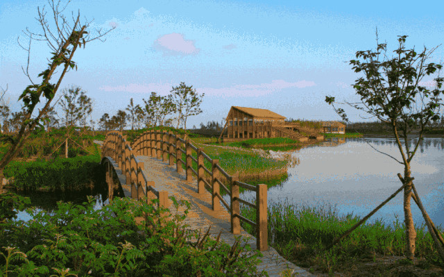 秋天来了,到崇明岛(我国第三大岛)走一圈吧