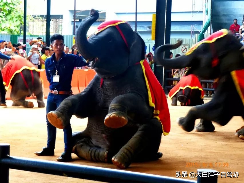 泰国风情之旅完整版,泰国风情记