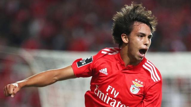 你更看好谁,你更看好谁文艺复兴